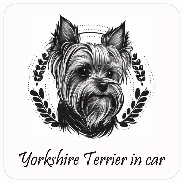 イラスト付 Dog in Car ヨークシャーテリア B タイプ ステッカー 正方形 13x13cm シール カーステッカー