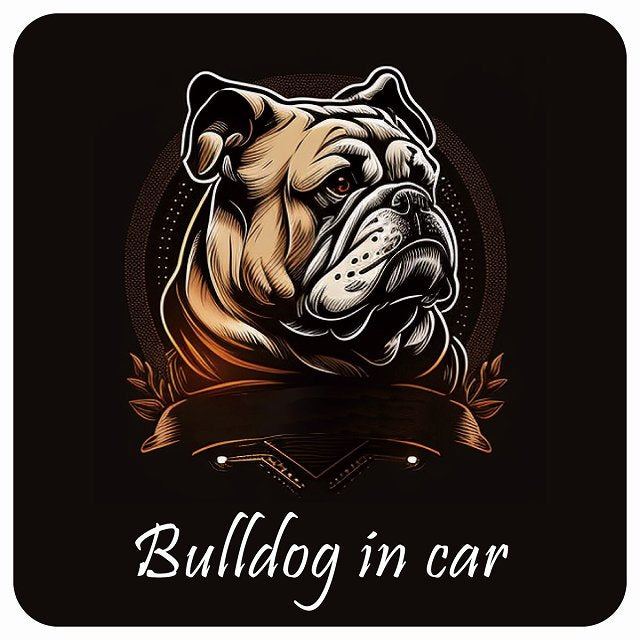 イラスト付 Dog in Car ブルドッグ B タイプ ステッカー 正方形 13x13cm シール カーステッカー