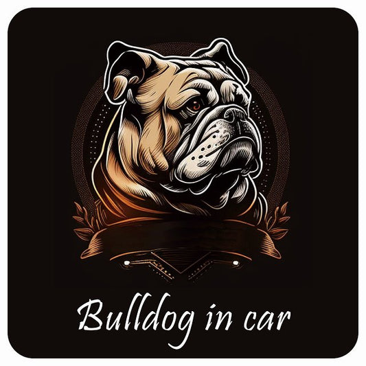イラスト付 Dog in Car ブルドッグ B タイプ ステッカー 正方形 13x13cm シール カーステッカー