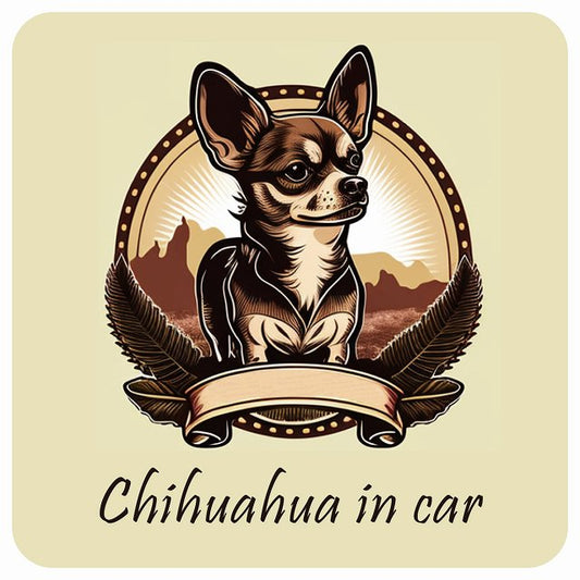 イラスト付 Dog in Car チワワ B タイプ ステッカー 正方形 13x13cm シール カーステッカー