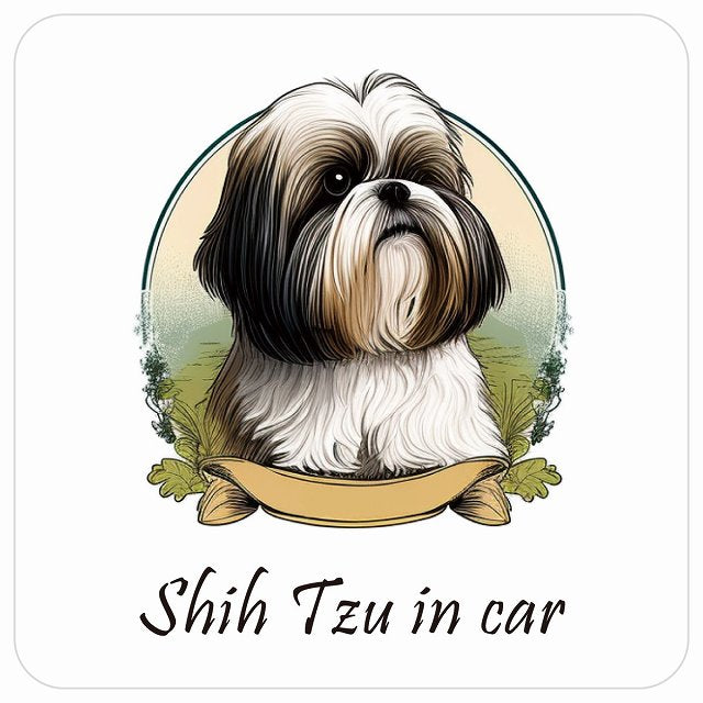 イラスト付 Dog in Car シーズー Aタイプ ステッカー 正方形 13x13cm シール カーステッカー