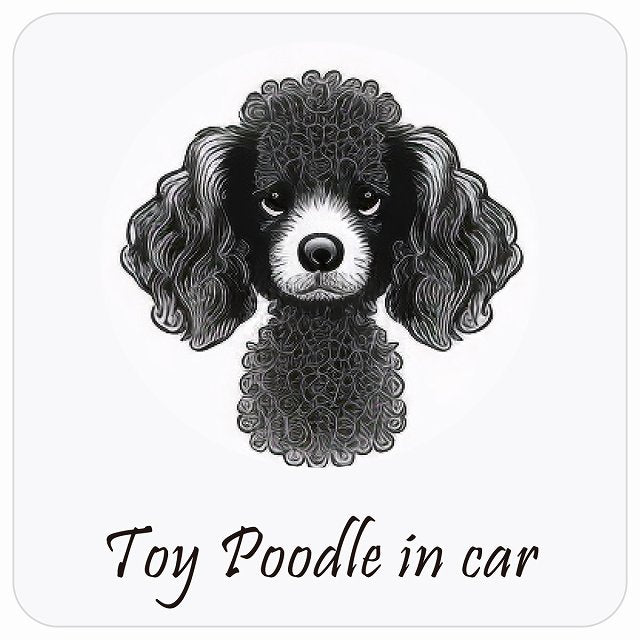 イラスト付 Dog in Car トイプードル Aタイプ ステッカー 正方形 13x13cm シール カーステッカー