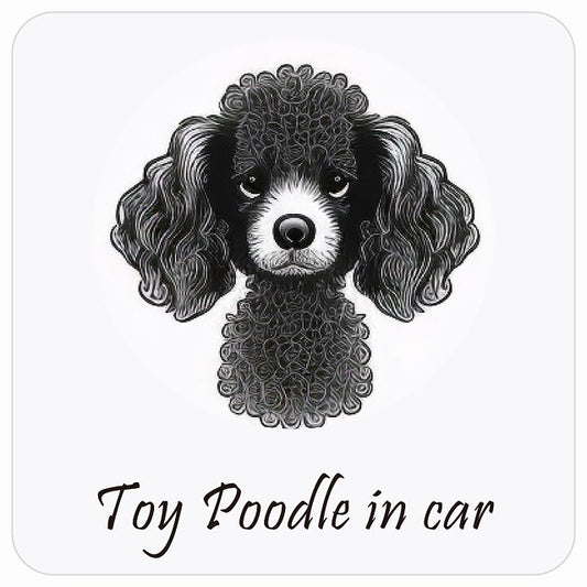 イラスト付 Dog in Car トイプードル Aタイプ ステッカー 正方形 13x13cm シール カーステッカー