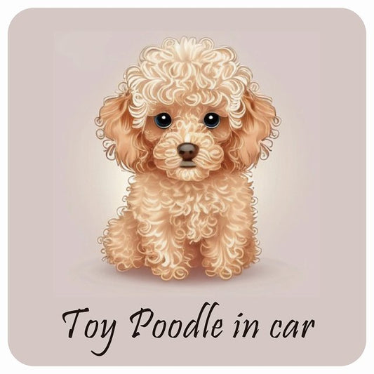 イラスト付 Dog in Car トイプードル B タイプ ステッカー 正方形 13x13cm シール カーステッカー