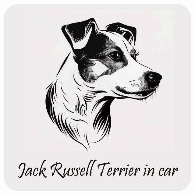 イラスト付 Dog in Car ジャックラッセルテリア B タイプ ステッカー 正方形 13x13cm シール カーステッカー