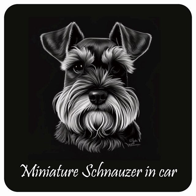 イラスト付 Dog in Car ミニチュアシュナウザー Aタイプ ステッカー 正方形 13x13cm シール カーステッカー