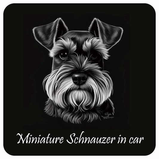 イラスト付 Dog in Car ミニチュアシュナウザー Aタイプ ステッカー 正方形 13x13cm シール カーステッカー