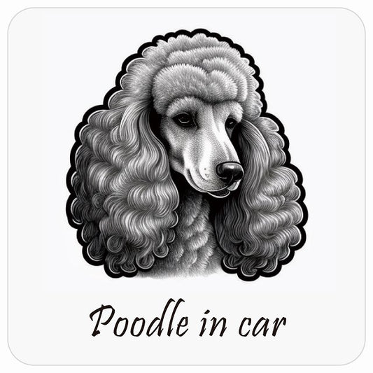 イラスト付 Dog in Car プードル B タイプ ステッカー 正方形 13x13cm シール カーステッカー