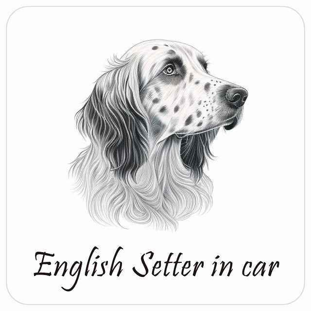 イラスト付 Dog in Car イングリッシュセター Aタイプ ステッカー 正方形 13x13cm シール カーステッカー