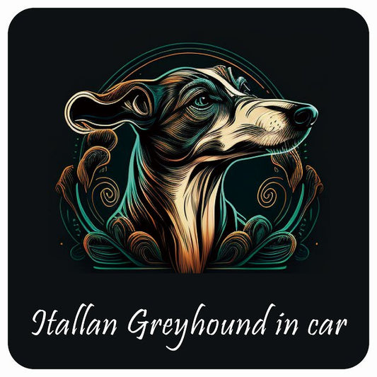 イラスト付 Dog in Car イタリアングレーハウンド Aタイプ ステッカー 正方形 13x13cm シール カーステッカー