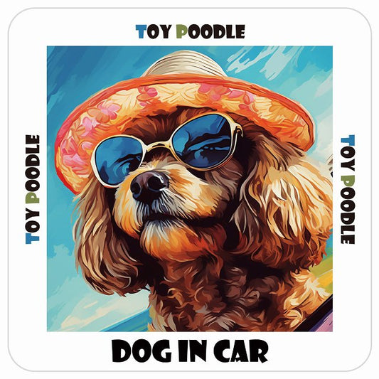 Toy Poodle トイプードル DOG IN CAR 海 麦わら帽子 サングラス 夏 ステッカー 13x13cm 正方形 シール カーステッカー