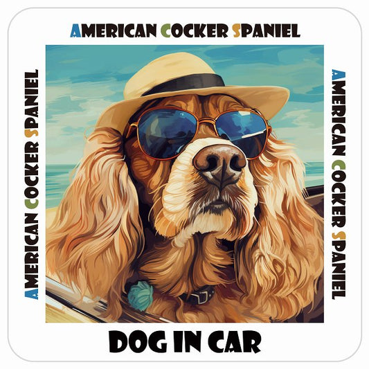 American Cocker Spaniel アメリカンコッカースパニエル DOG IN CAR 海 麦わら帽子 サングラス 夏 ステッカー 13x13cm 正方形 シール カーステッカー