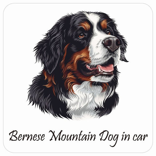 イラスト付 Dog in Car バーニーズ・マウンテン・ドッグ B タイプ ステッカー 正方形 13x13cm シール カーステッカー