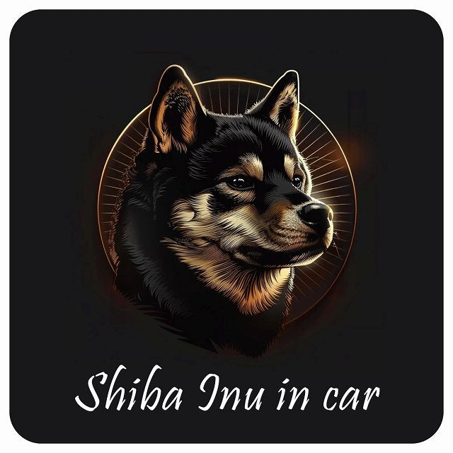 イラスト付 Dog in Car 黒柴 Aタイプ ステッカー 正方形 13x13cm シール カーステッカー