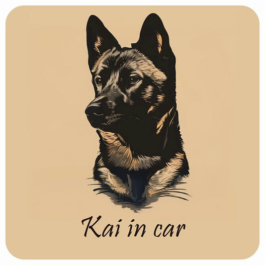 イラスト付 Dog in Car 甲斐犬 Aタイプ ステッカー 正方形 13x13cm シール カーステッカー