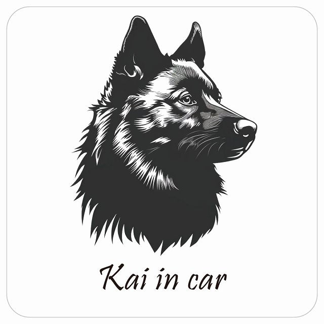 イラスト付 Dog in Car 甲斐犬 Bタイプ ステッカー 正方形 13x13cm シール カーステッカー