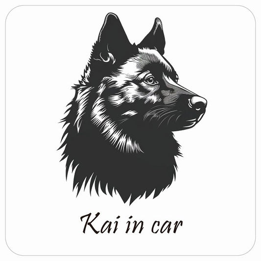 イラスト付 Dog in Car 甲斐犬 Bタイプ ステッカー 正方形 13x13cm シール カーステッカー