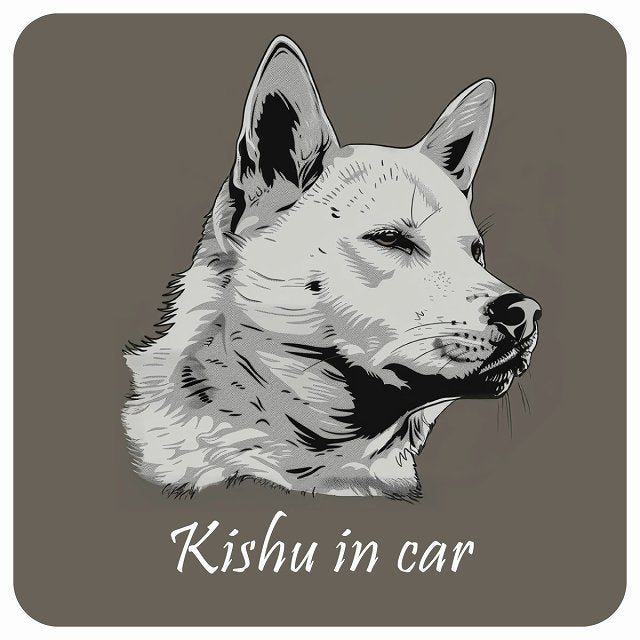 イラスト付 Dog in Car 紀州犬 Bタイプ ステッカー 正方形 13x13cm シール カーステッカー