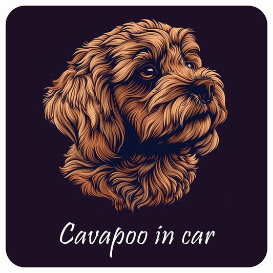 イラスト付 Dog in Car キャバプー Bタイプ ステッカー 正方形 13x13cm シール カーステッカー