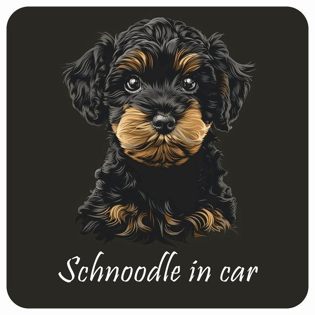イラスト付 Dog in Car シュナプー Bタイプ ステッカー 正方形 13x13cm シール カーステッカー