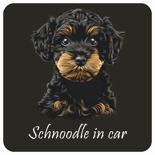 イラスト付 Dog in Car シュナプー Bタイプ ステッカー 正方形 13x13cm シール カーステッカー