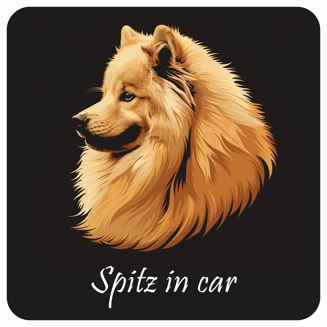 イラスト付 Dog in Car スピッツ Aタイプ ステッカー 正方形 13x13cm シール カーステッカー
