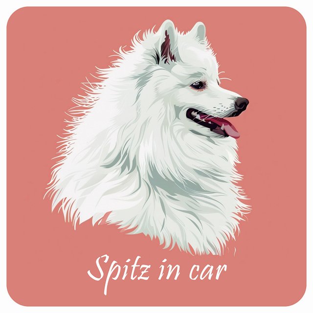 イラスト付 Dog in Car スピッツ Bタイプ ステッカー 正方形 13x13cm シール カーステッカー