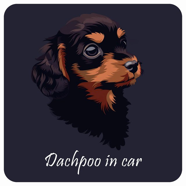 イラスト付 Dog in Car ダップー Aタイプ ステッカー 正方形 13x13cm シール カーステッカー