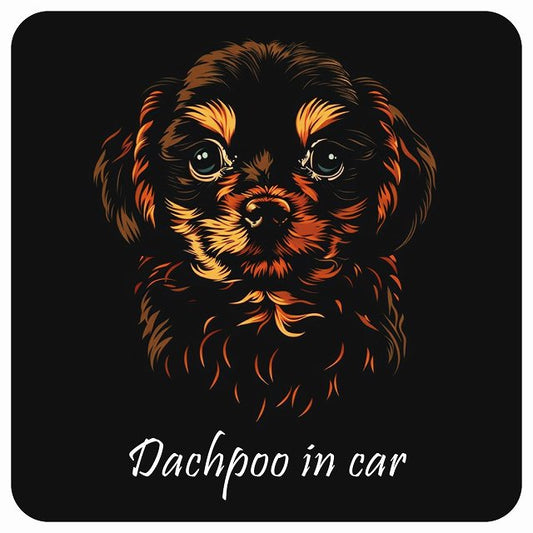 イラスト付 Dog in Car ダップー Bタイプ ステッカー 正方形 13x13cm シール カーステッカー