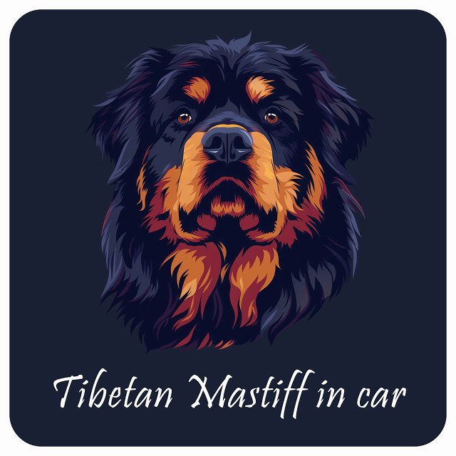 イラスト付 Dog in Car チベタンマスティフ Aタイプ ステッカー 正方形 13x13cm シール カーステッカー