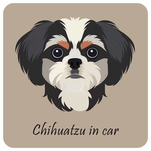 イラスト付 Dog in Car チワズー Aタイプ ステッカー 正方形 13x13cm シール カーステッカー