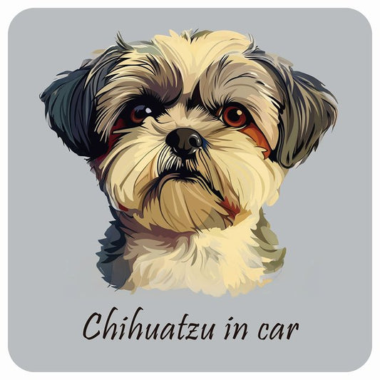 イラスト付 Dog in Car チワズー Bタイプ ステッカー 正方形 13x13cm シール カーステッカー