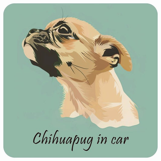 イラスト付 Dog in Car チワパグ Aタイプ ステッカー 正方形 13x13cm シール カーステッカー