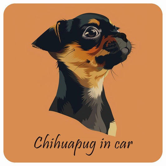 イラスト付 Dog in Car チワパグ Bタイプ ステッカー 正方形 13x13cm シール カーステッカー