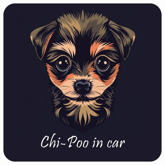 イラスト付 Dog in Car チワプー Aタイプ ステッカー 正方形 13x13cm シール カーステッカー