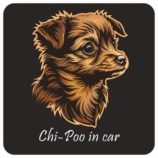 イラスト付 Dog in Car チワプー Bタイプ ステッカー 正方形 13x13cm シール カーステッカー