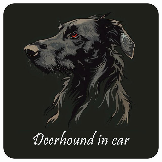 イラスト付 Dog in Car ディアハウンド Aタイプ ステッカー 正方形 13x13cm シール カーステッカー