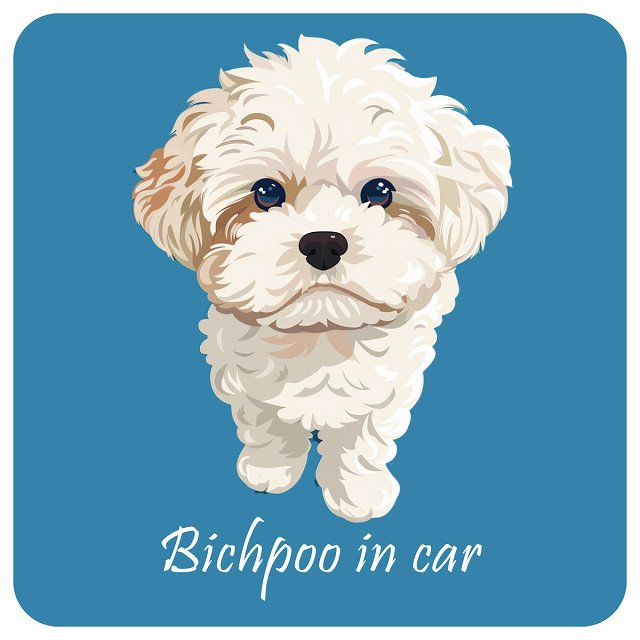 イラスト付 Dog in Car ビションプー Aタイプ ステッカー 正方形 13x13cm シール カーステッカー