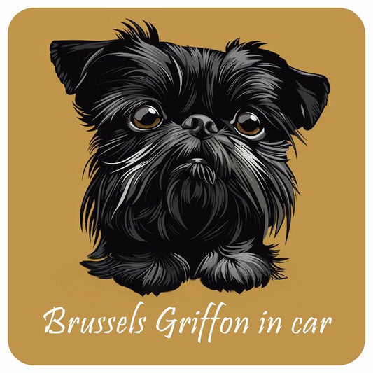 イラスト付 Dog in Car ブリュッセル・グリフォン Aタイプ ステッカー 正方形 13x13cm シール カーステッカー