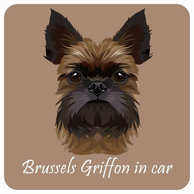 イラスト付 Dog in Car ブリュッセル・グリフォン Bタイプ ステッカー 正方形 13x13cm シール カーステッカー