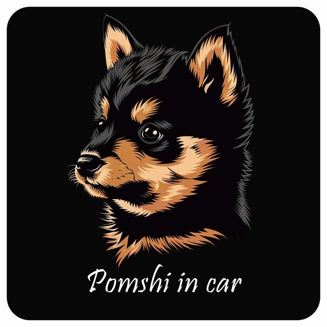 イラスト付 Dog in Car ポメ柴 Bタイプ ステッカー 正方形 13x13cm シール カーステッカー