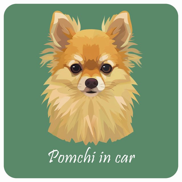 イラスト付 Dog in Car ポメチワ Aタイプ ステッカー 正方形 13x13cm シール カーステッカー
