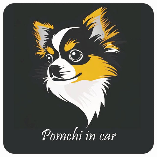 イラスト付 Dog in Car ポメチワ Bタイプ ステッカー 正方形 13x13cm シール カーステッカー