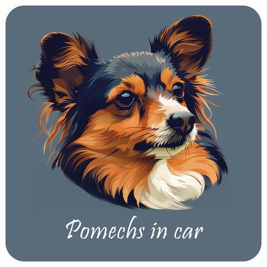 イラスト付 Dog in Car ポメックス Aタイプ ステッカー 正方形 13x13cm シール カーステッカー