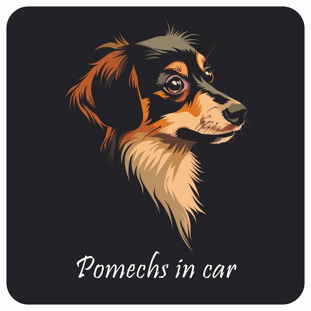 イラスト付 Dog in Car ポメックス Bタイプ ステッカー 正方形 13x13cm シール カーステッカー