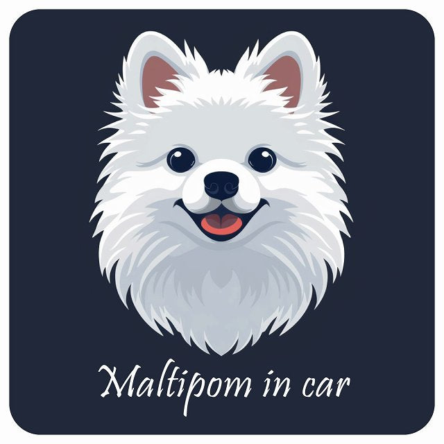 イラスト付 Dog in Car ポメマル Aタイプ ステッカー 正方形 13x13cm シール カーステッカー