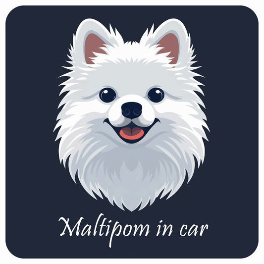 イラスト付 Dog in Car ポメマル Aタイプ ステッカー 正方形 13x13cm シール カーステッカー