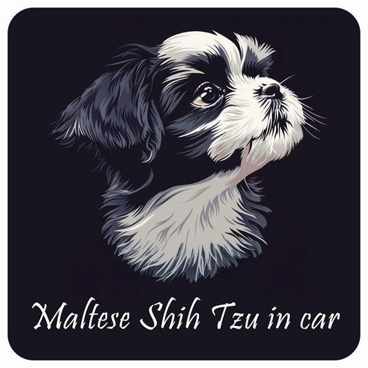 イラスト付 Dog in Car マルシーズー Bタイプ ステッカー 正方形 13x13cm シール カーステッカー