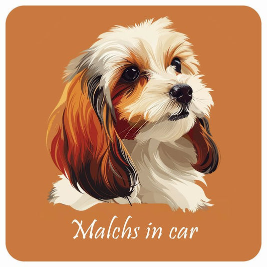 イラスト付 Dog in Car マルックス Bタイプ ステッカー 正方形 13x13cm シール カーステッカー