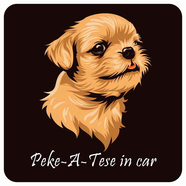 イラスト付 Dog in Car マルペキ Aタイプ ステッカー 正方形 13x13cm シール カーステッカー